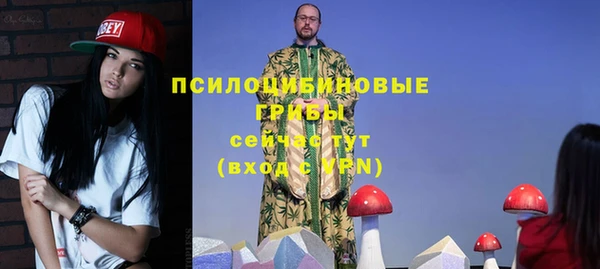 прущий лед Алексин