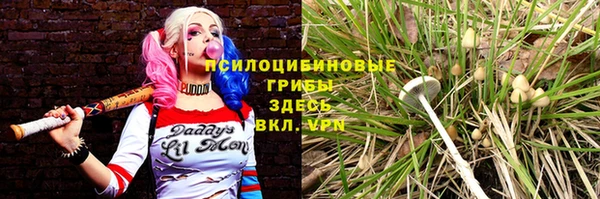 спайс Алзамай