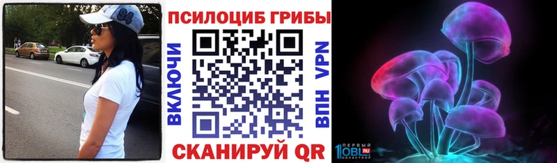 купить  сайты  Славск  Псилоцибиновые грибы ЛСД 