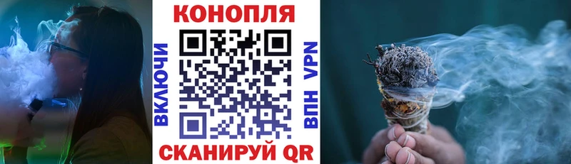 Канабис планчик Славск